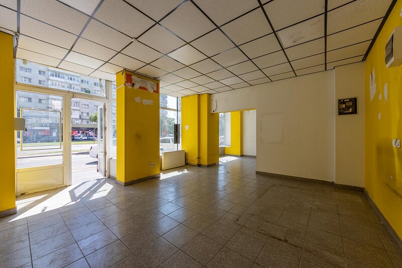 Pantelimon 291, stradal, 50mp