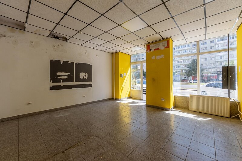 Pantelimon 291, stradal, 50mp
